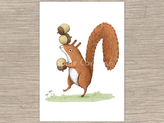 Squirrel With Acorns Signed Art Print