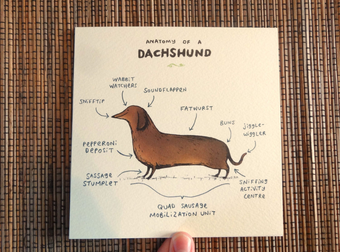 Anatomy Of A Dachshund Card