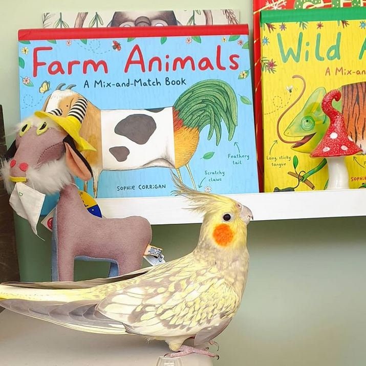 Wild Animals: A Mix-and-Match Book Signed Children's Board Book