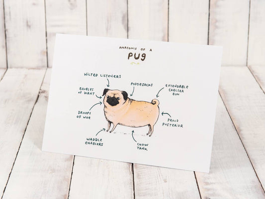 Anatomy of a Pug Print: Funny Scientific Dog Illustration