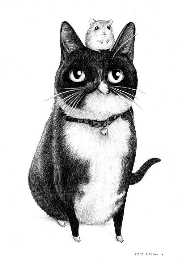 Pencil Pet Portrait - A4