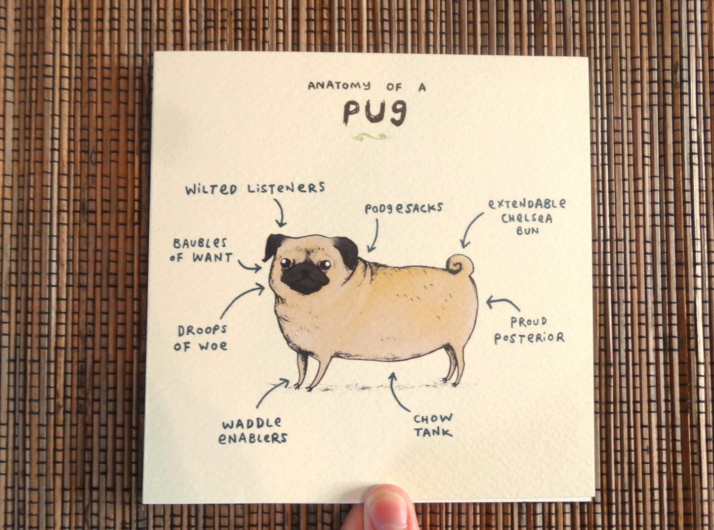 Anatomy of a Pug Greeting Card: Funny Dog Illustration