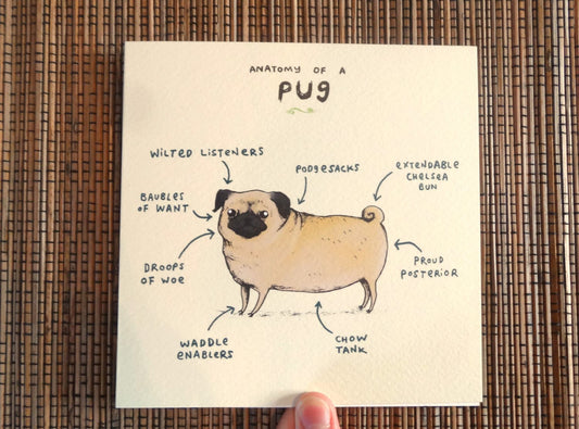 Anatomy of a Pug Greeting Card: Funny Dog Illustration