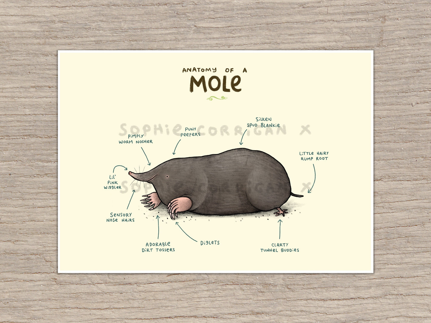 Anatomy of A Mole Signed Fine Art Print