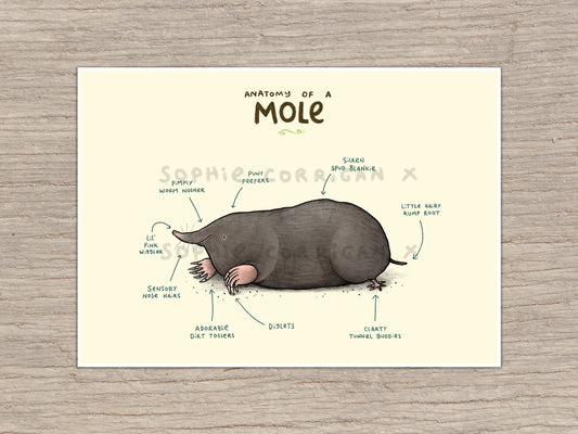 Anatomy of A Mole Signed Fine Art Print