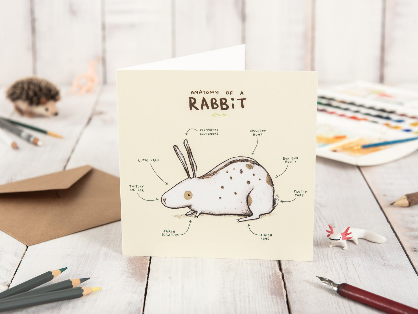 Anatomy Of A Rabbit Card