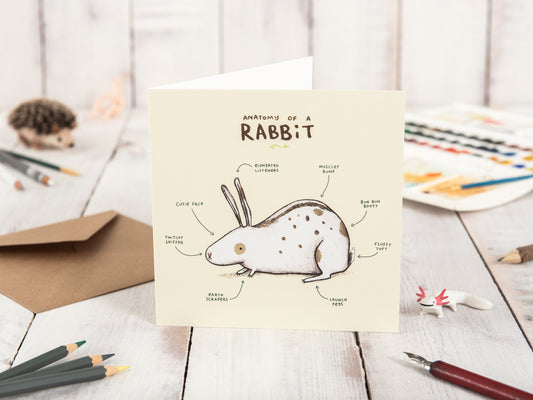 Anatomy Of A Rabbit Card