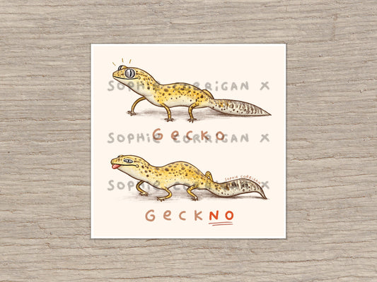 Gecko Geckno  Signed Art Print