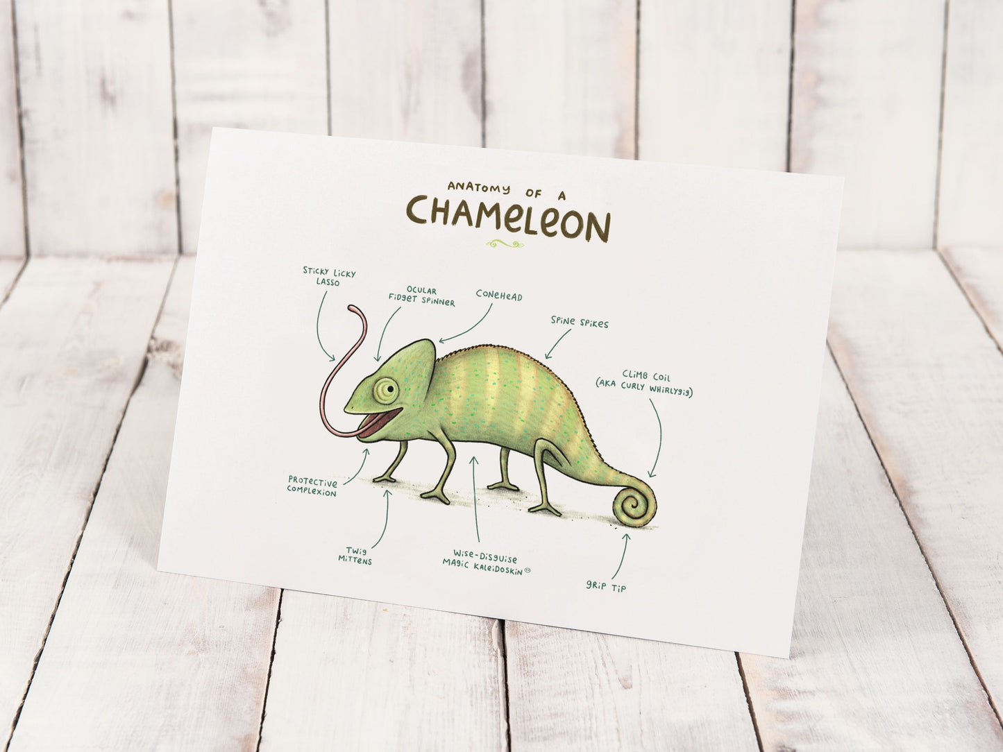 Anatomy of a Chameleon A4 Signed Print