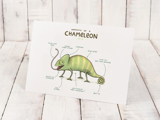 Anatomy of a Chameleon A4 Signed Print