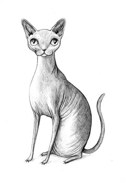 Pencil Pet Portrait - A4