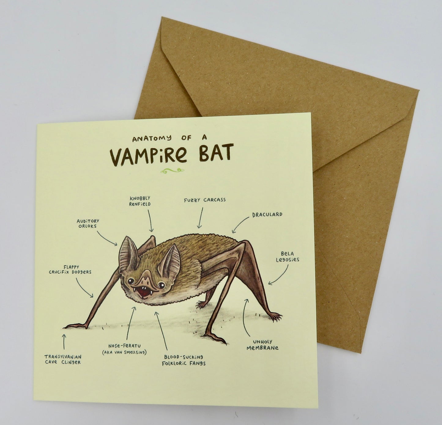 Anatomy Of A Vampire Bat Card
