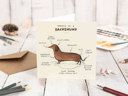 Anatomy Of A Dachshund Card