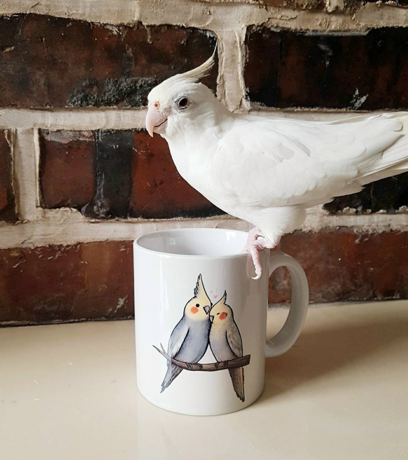 Cockatiel Cuddle 11oz Mug - Cute Parrot Birds Cuddling Valentines Gift Idea