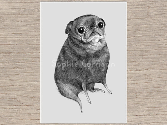 Sweet Black Pug Portrait Signed Art Print - Adorable Pugs - Little Legs Cute Funny Illustration - UK Worldwide Postage Sophie Corrigan