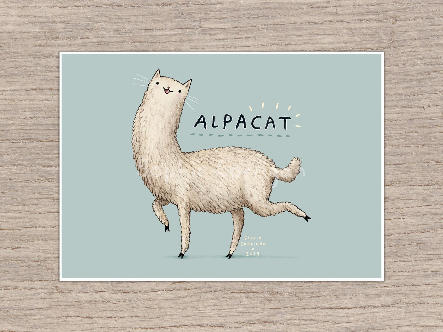 Alpacat Signed Art Print - Alpaca Cat