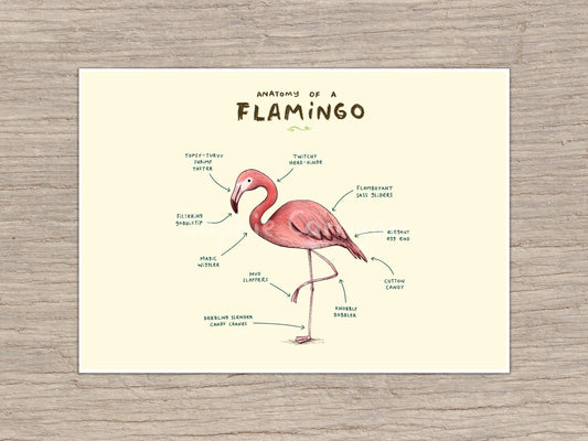 Anatomy of a Flamingo Signed Art Print