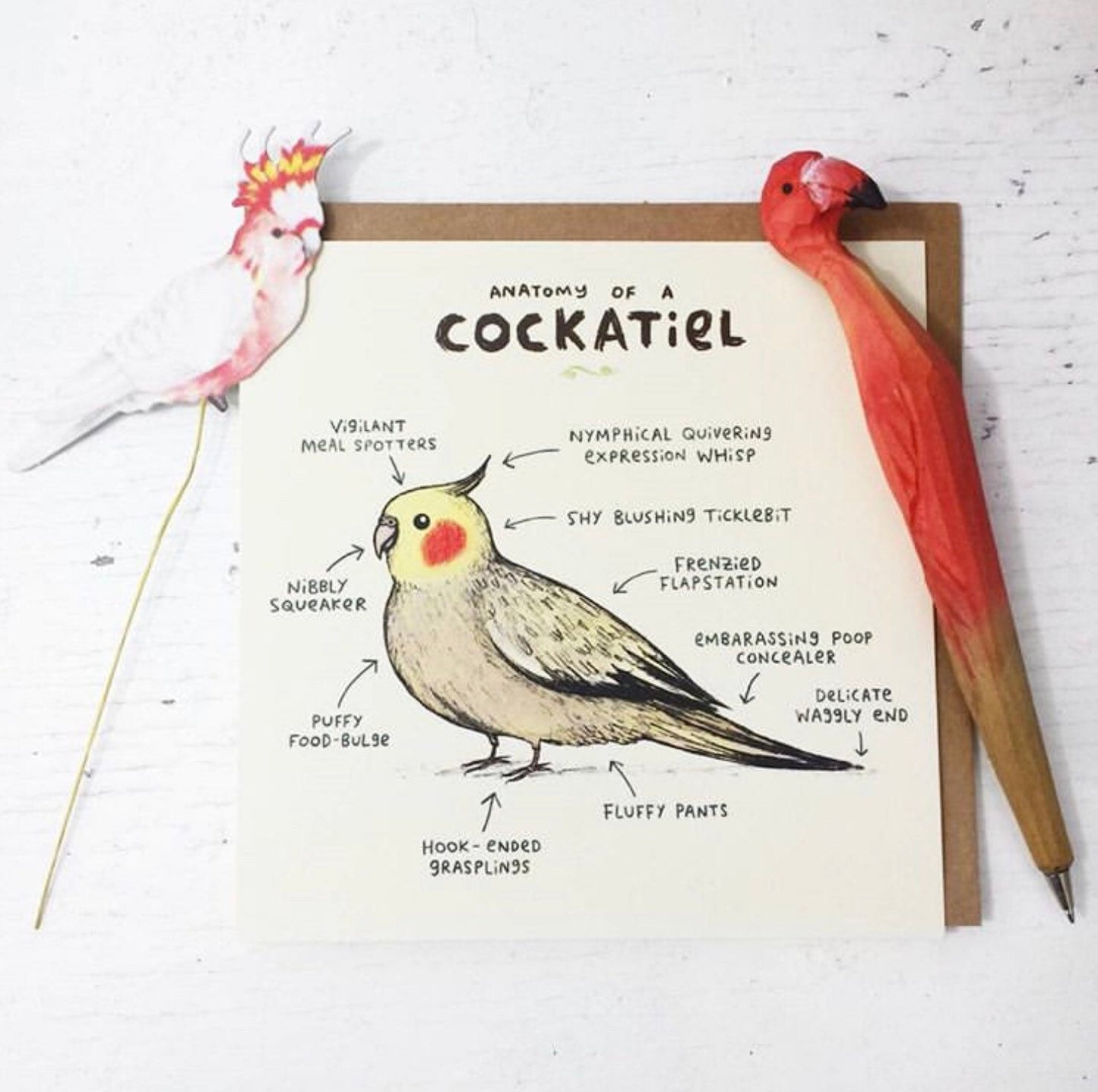 Anatomy Of A Cockatiel Card