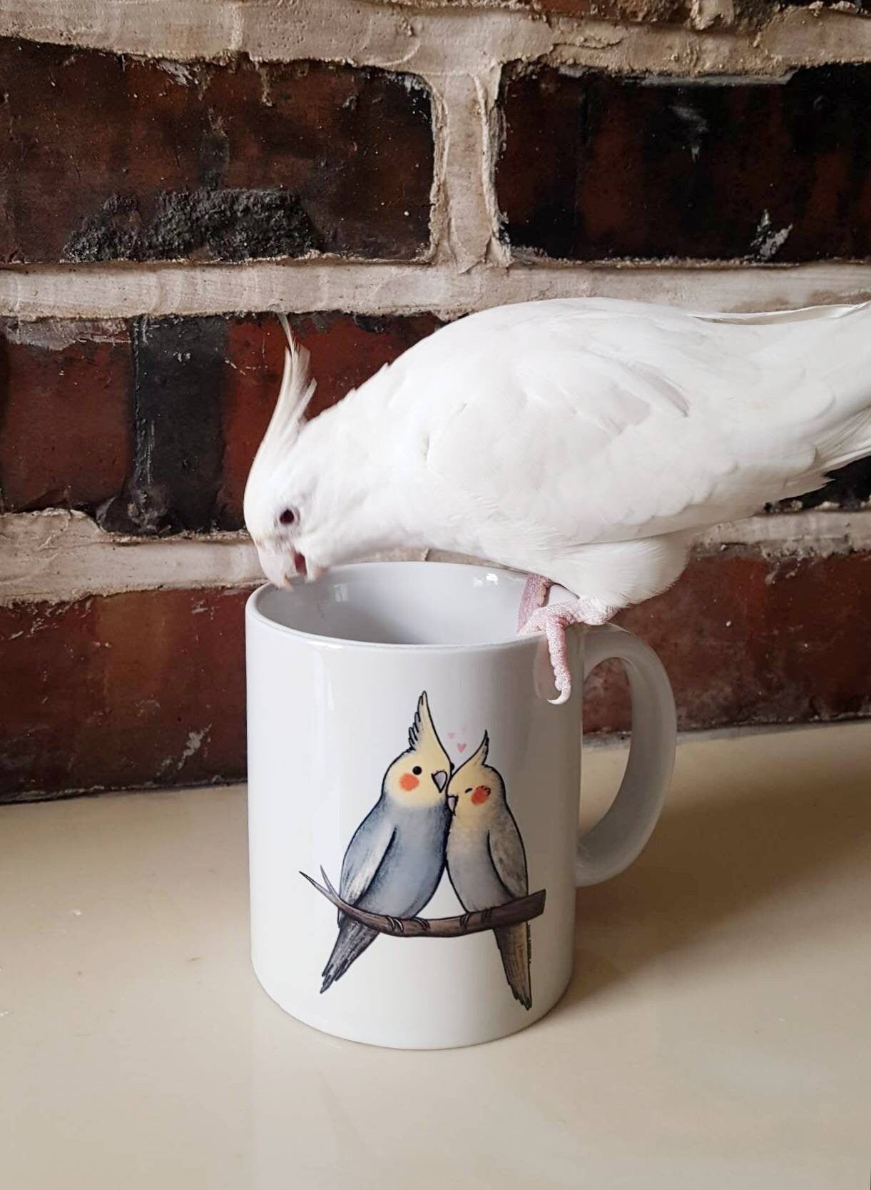 Cockatiel Cuddle 11oz Mug - Cute Parrot Birds Cuddling Valentines Gift Idea