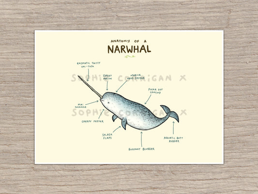 Anatomy of a Narwhal Signed Art Print