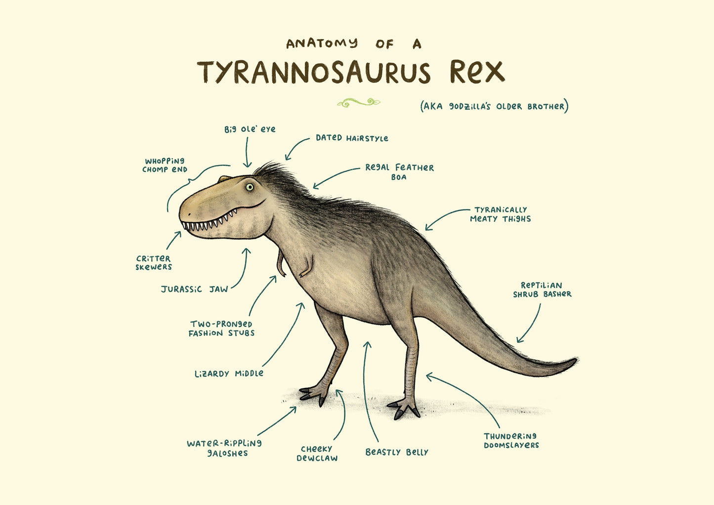 Anatomy Of A Tyrannosaurus Rex A4 Signed Print