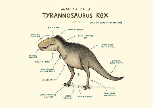 Anatomy Of A Tyrannosaurus Rex A4 Signed Print