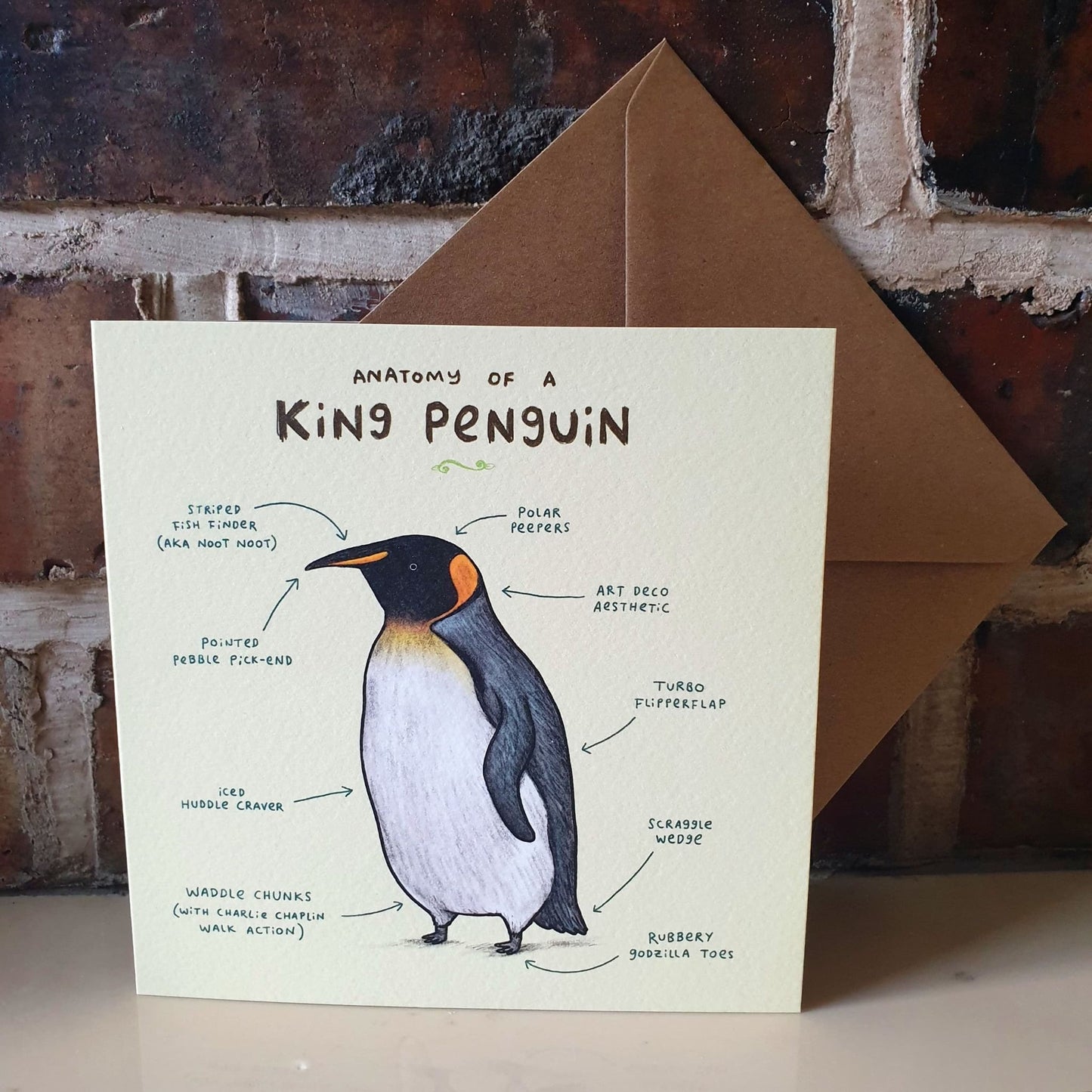 Anatomy of a Penguin Card: Scientific Animal Illustration
