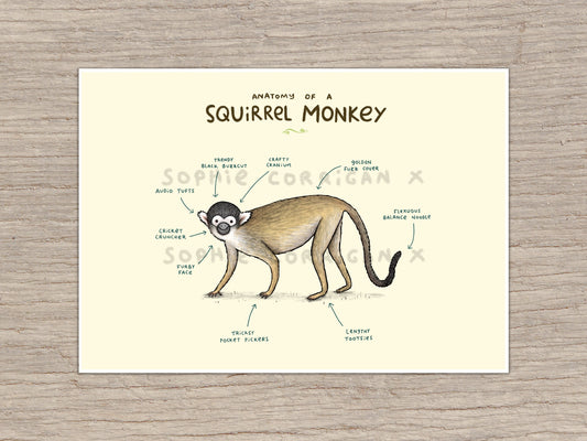 Anatomy of a Squirrel Monkey Signed Fine Art Print