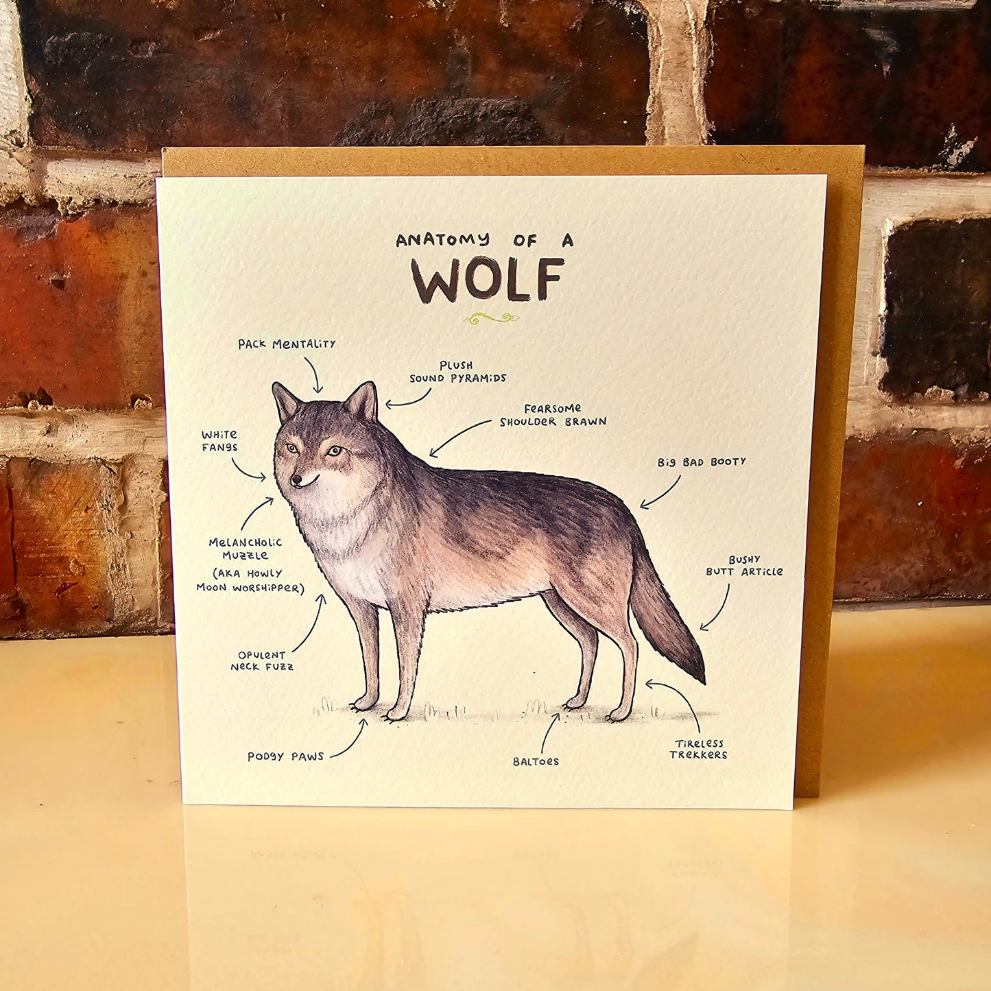 Anatomy of a Wolf Greeting Card: Funny Anatomical Illustration