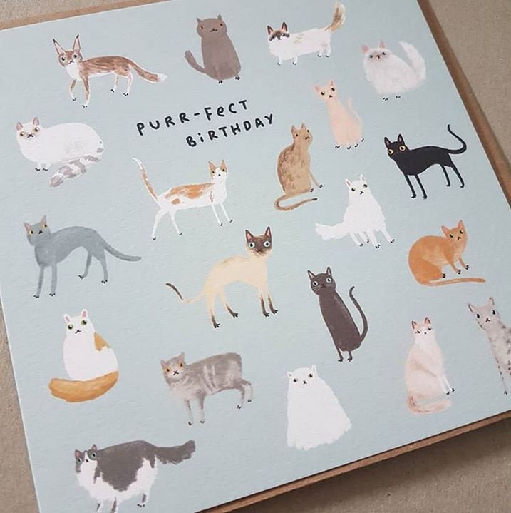 Purrfect Cats Birthday Card
