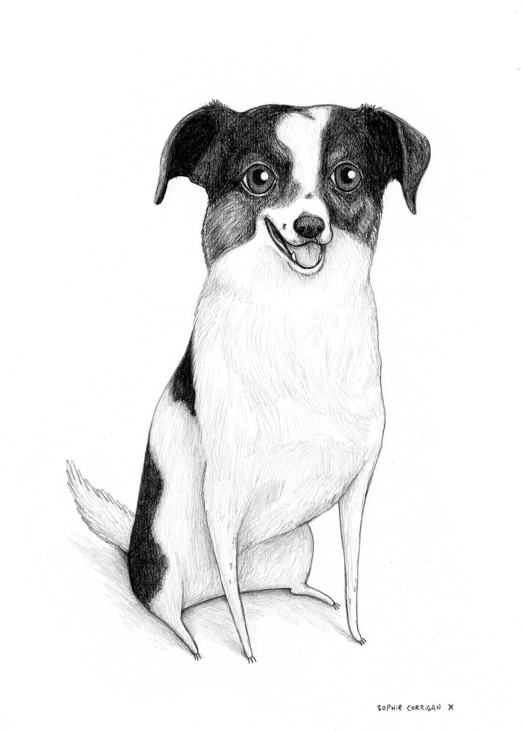 Pencil Pet Portrait - A5