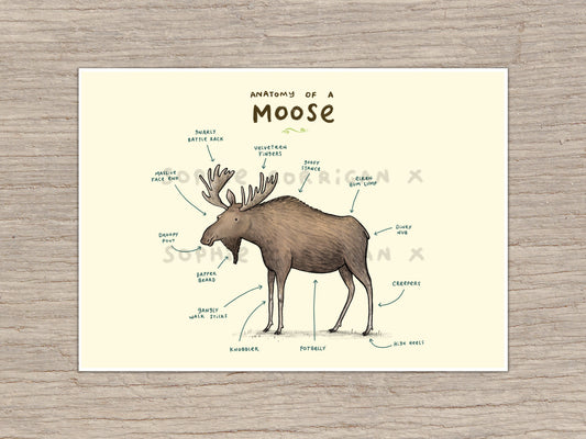 Anatomy of a Moose Signed Art Print