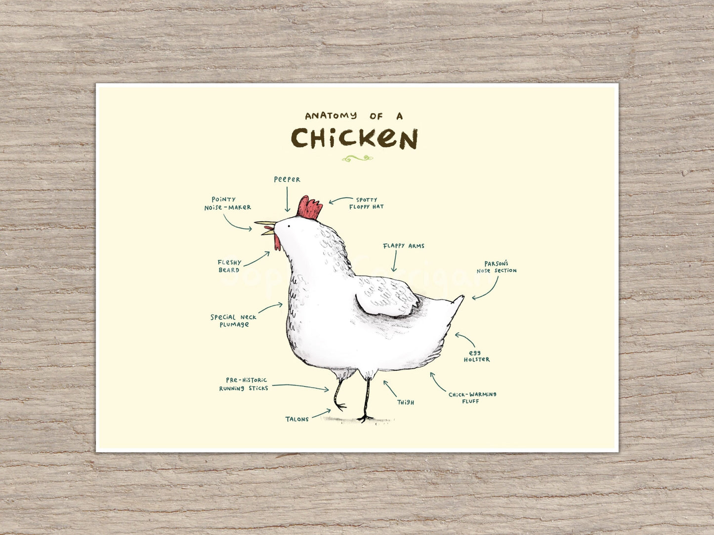 Anatomy of a Chicken Signed Art Print