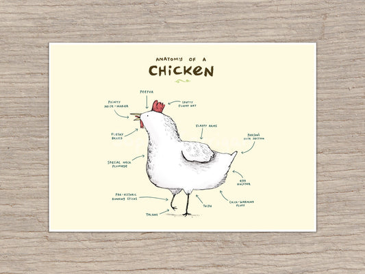Anatomy of a Chicken Signed Art Print
