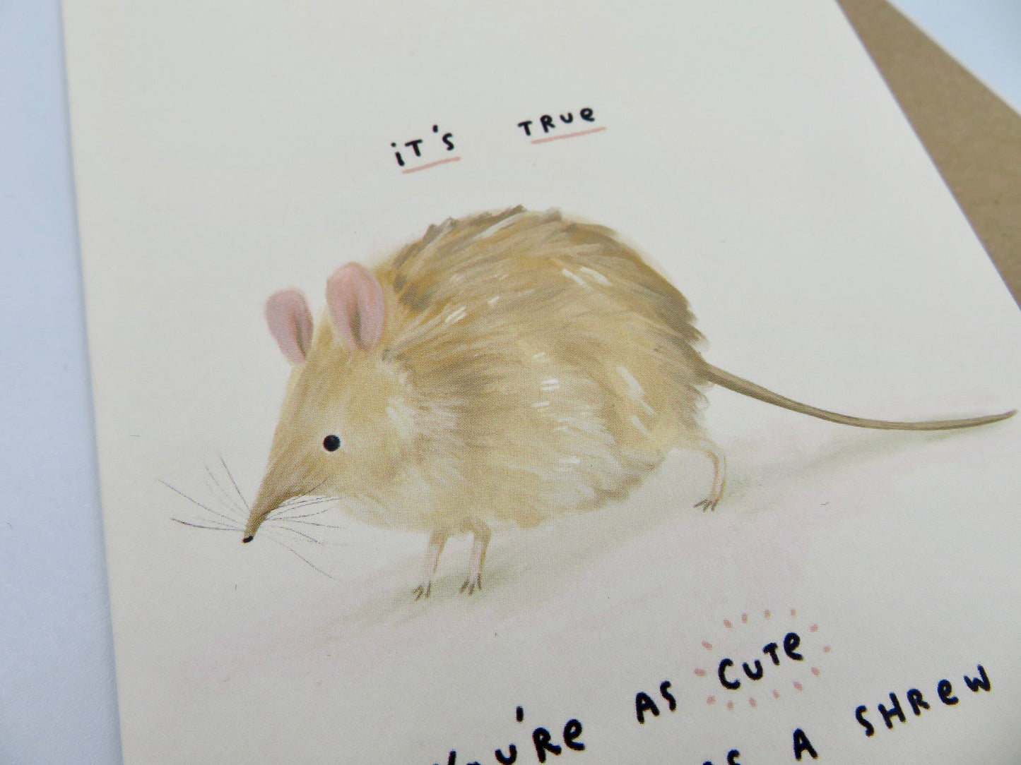 You're as Cute as a Shrew Card - Adorable Funny Fluffy Shrews Valentines Friend