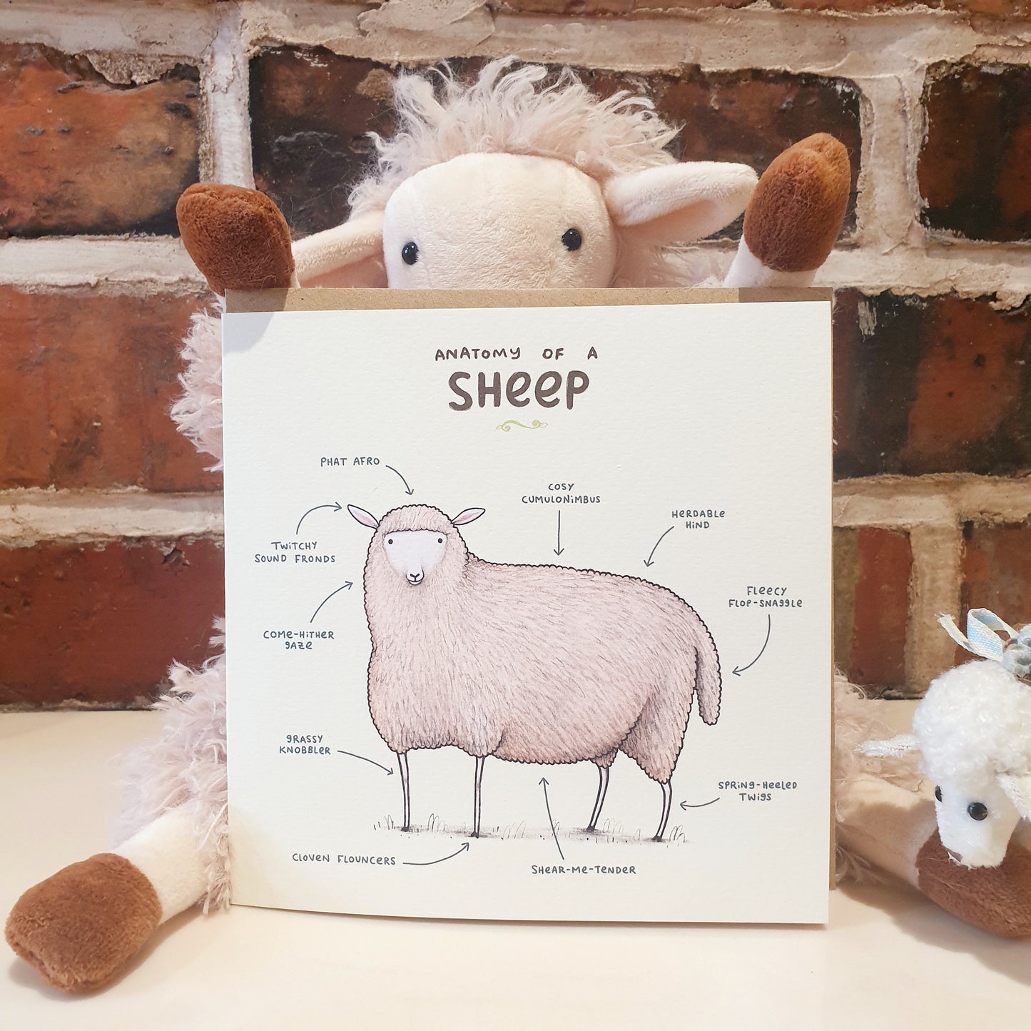 Anatomy of a Sheep Card
