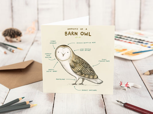 Anatomy of a Barn Owl Card: Scientific Animal Illustration