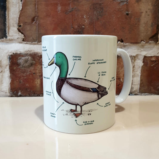 Anatomy of a Duck Mug