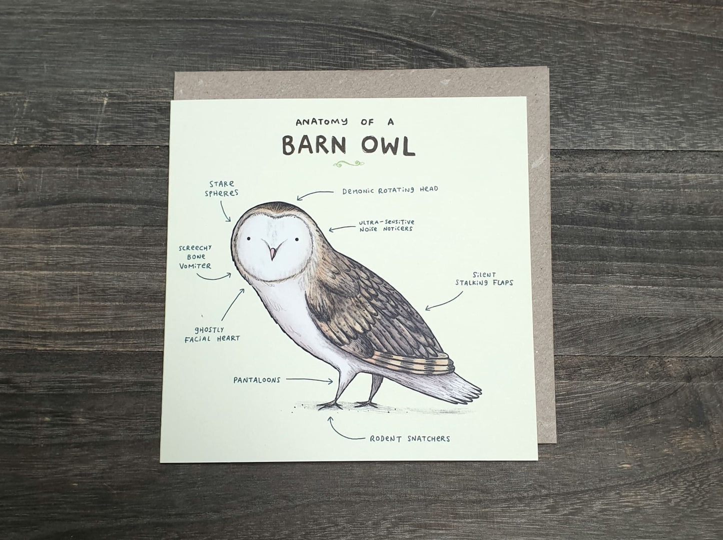 Anatomy of a Barn Owl Card: Scientific Animal Illustration