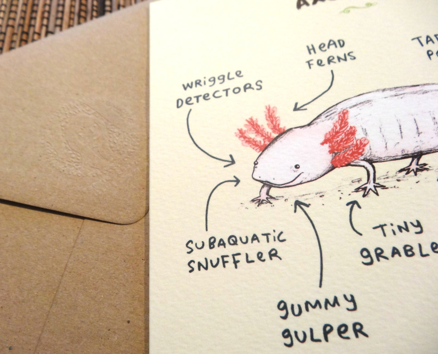 Anatomy Of An Axolotl Card