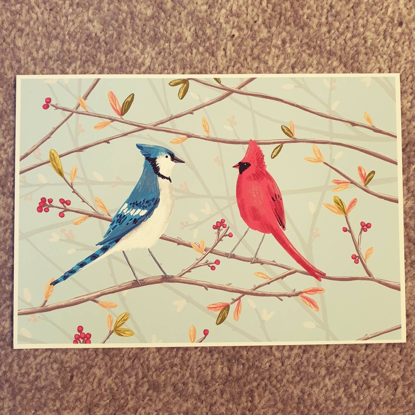 Blue Jay & Cardinal Signed Art Print