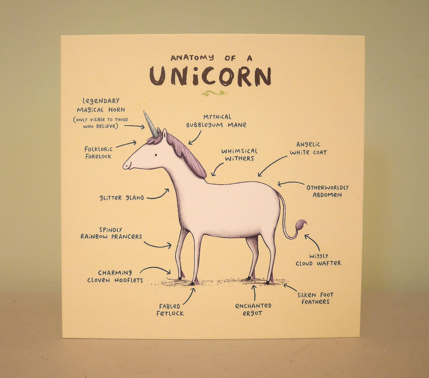 Anatomy Of A Unicorn Card