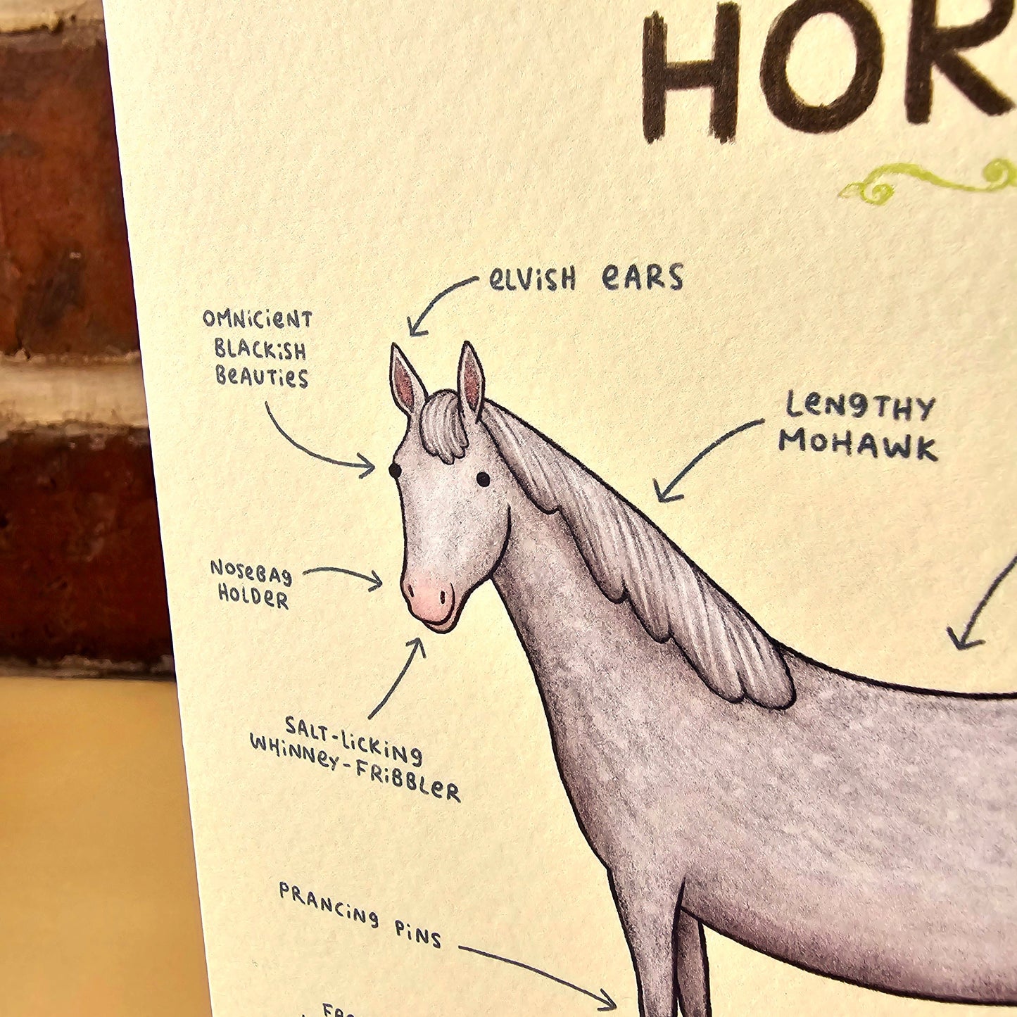 Anatomy of a Horse Card