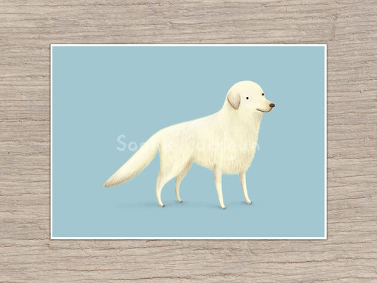 Goldren Retriever Portrait Signed Art Print