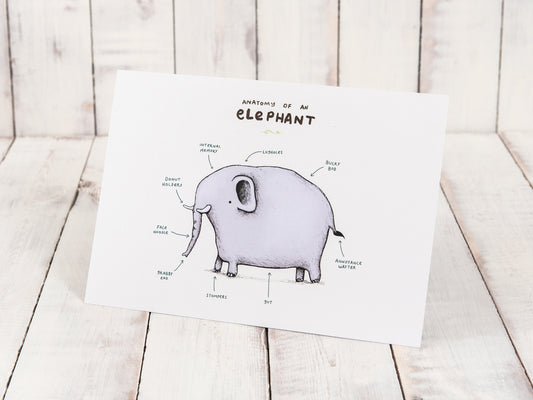 Anatomy Of An Elephant A4 Signed Print
