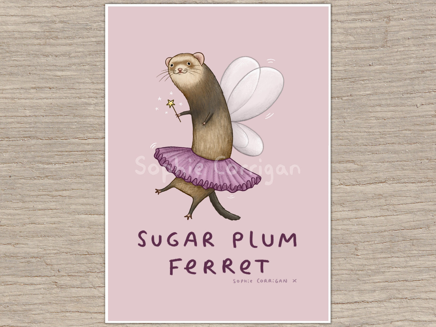 Sugar Plum Ferret Signed Art Print