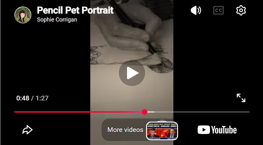 Load video: 