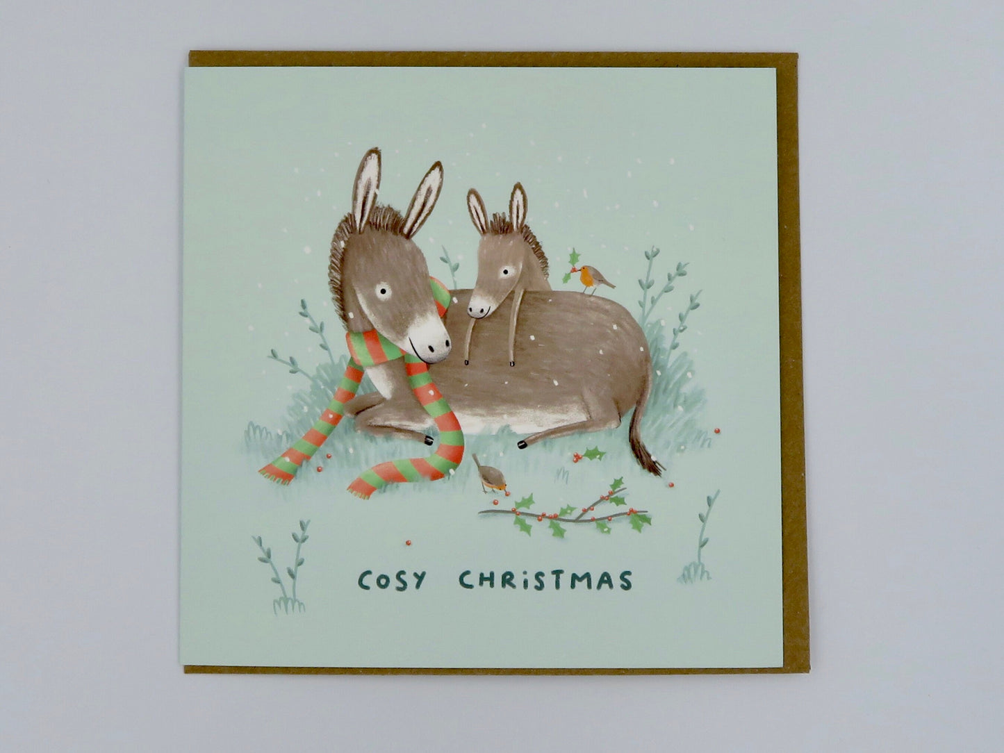 Donkeys and Robins Cosy Christmas Card