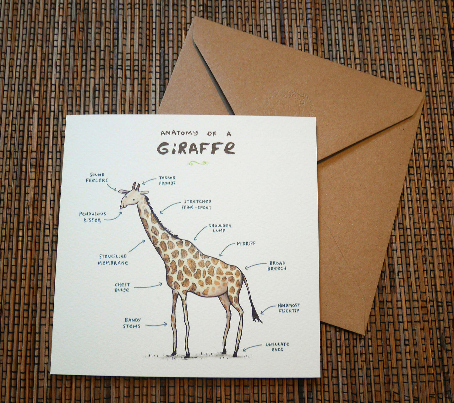 Anatomy Of A Giraffe Card