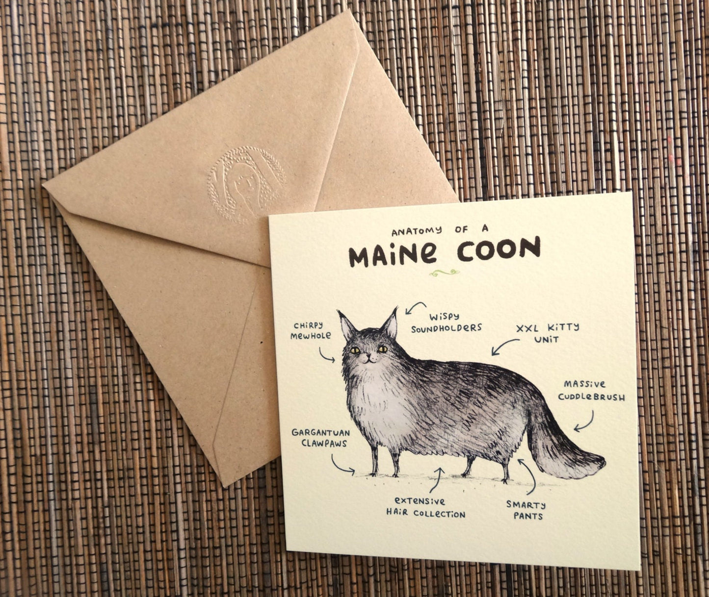 Anatomy Of A Maine Coon Card
